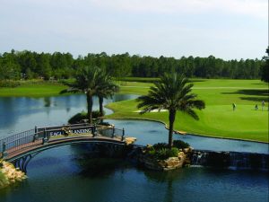 Eagle Landing Florida Golf Course Pakcage